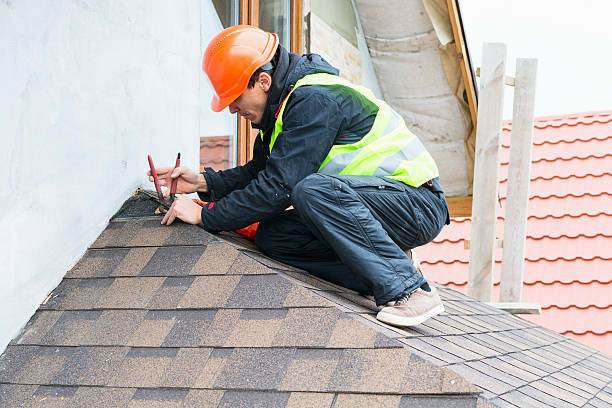 Best Metal Roofing Contractor  in Brusly, LA